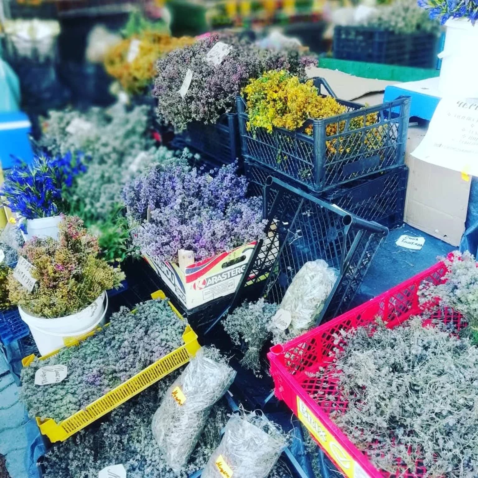 Ароматни билки и местни продукти във Велинград